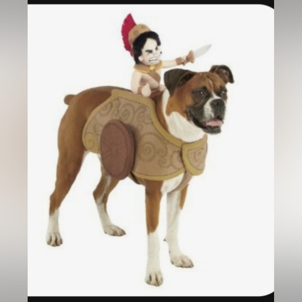 Gladiator Dog Costume size Large